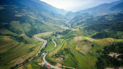 Rice is a plant cultivated by humans. Its proven occurrence more than 6,000 years ago shows that people were altering the vegetation very early in their history. 