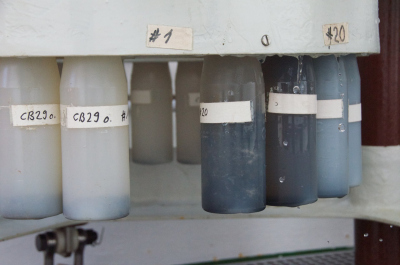 Becher gefüllt mit Partikeln. Foto: MARUM – Zentrum für Marine Umweltwissenschaften, Universität Bremen