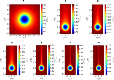 Wenn poröse Aggregate schneller zum Meeresboden sinken, stellt die so generierte schnelle Strömung mehr Sauerstoff für die Aggregate bereit. Grafik: Science Advances
