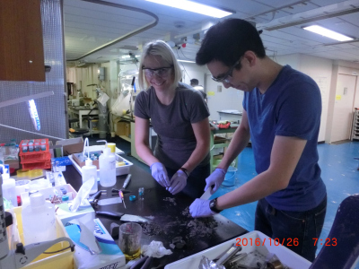 Gas sampling during IODP Exp. 370 