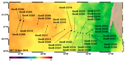 transect 1