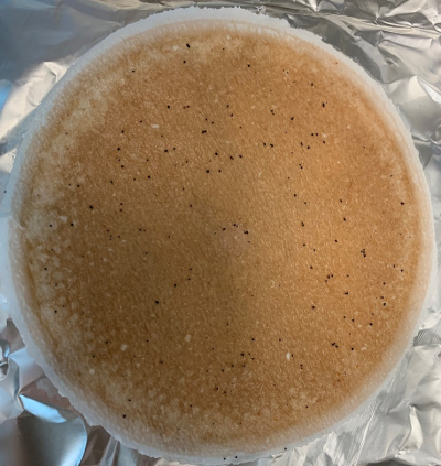 Filter mit winzigen, schwarzen Augen von Garnelen. Foto: MARUM, Universität Bremen