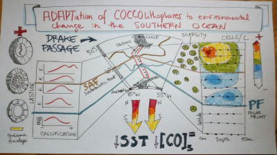 Sketchnotes of Marine Scientists