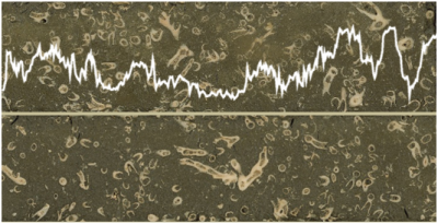 palaeo-archives