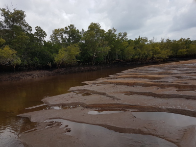 exposed sediments