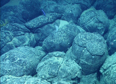Pillow lava. Photo: MARUM – Center for Marine Environmental Sciences, University of Bremen