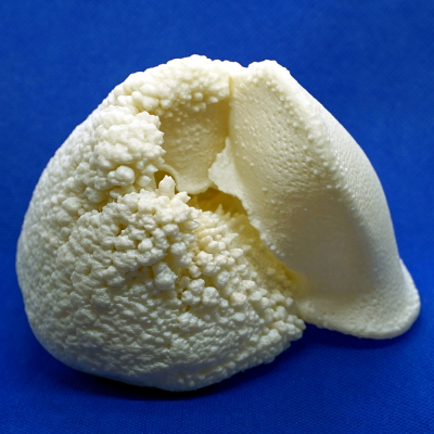 Globorotalia truncatulinoides