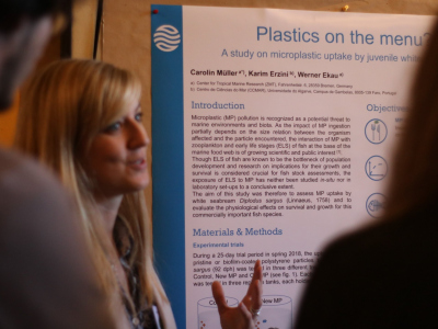 Poster Carolin Müller