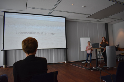 Lebensraum Wattenmeer