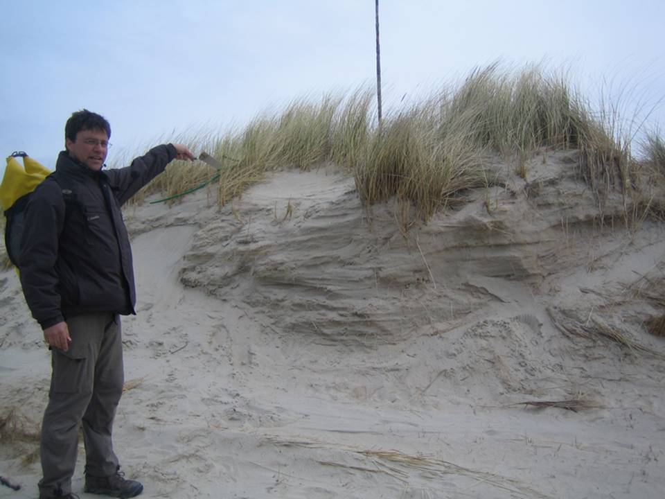 Eolian sedimentation on Spiekeroog