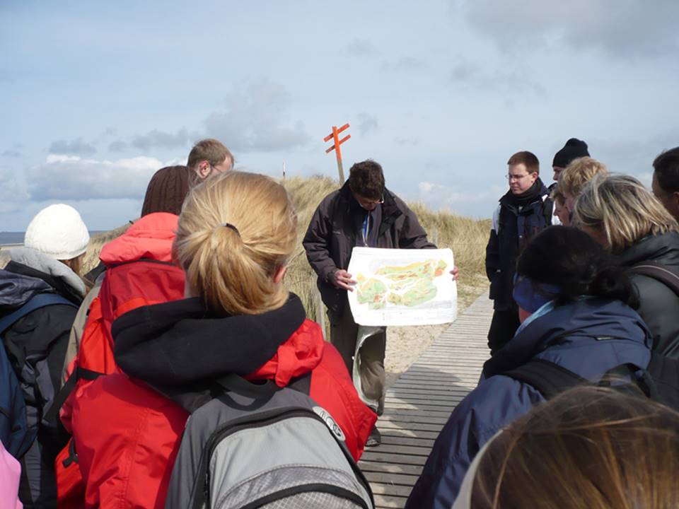 Explaining the sediment zonation on Spiekeroog