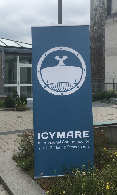 ICYMARE 2019