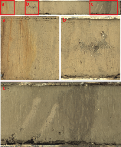 GeoB3911-3; 0-97 cm; Archive, 500 dpi
