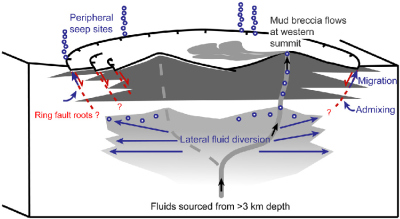 Venere Schlammvulkan mit Interpretation des Fluidtransportes (Loher et al. 2018, Scientific Report)
