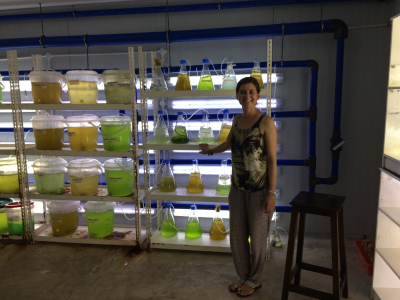 Mariculture hatchery facility on Zanzibar