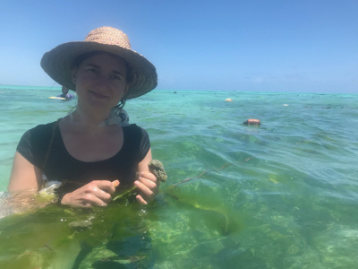 sponge farm in Jambiani, Zanzibar