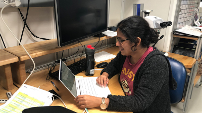 Sonal arbeitet an dem Foraminiferenteil des Berichts