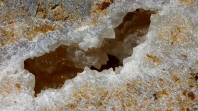 Image of a vug within a carbonate vein in one of the rock cores investigated for microbiology. Photo: William Crawford and IODP