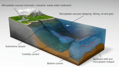 Microplastics are delivered to the ocean through rivers carrying industrial and domestic wastewater, carried down submarine canyons by powerful avalanches of sediment (turbidity currents) and then transported on the ocean floor by ‘bottom currents’ and de