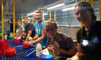 Coral spawning crew November 2019 at AIMS, Team Negri