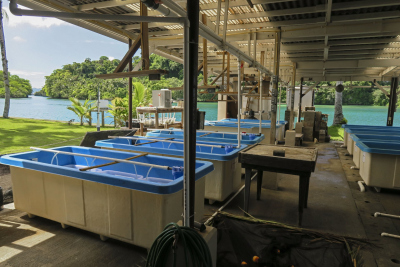 Aquaria facility at PICRC