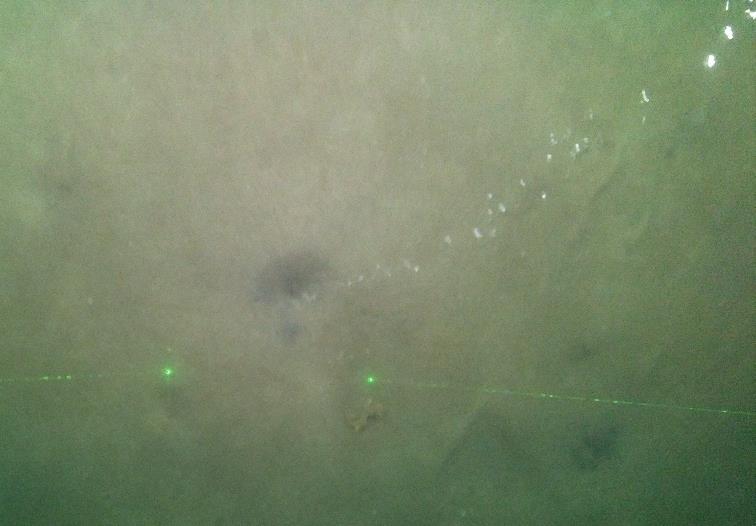 Gas bubble stream