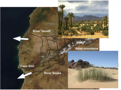 Map Of Morocco showing the rivers Tensift and Souss