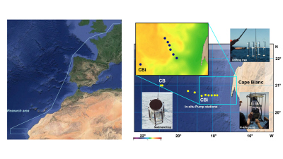 Geplante Fahrtroute und Arbeitsgebiet am Kap Blanc. Grafik: NOAA, State of the Ocean; https://podaac-tools.jpl.nasa.gov/soto