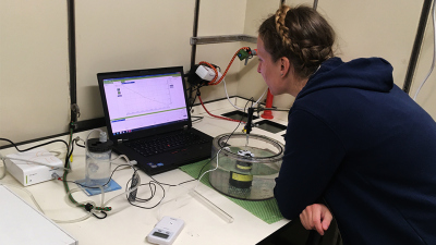 Die mikroskopisch kleinen Partikel verschiedener Wassermassen werden analysiert.
