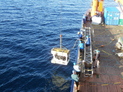 ROV SQUID