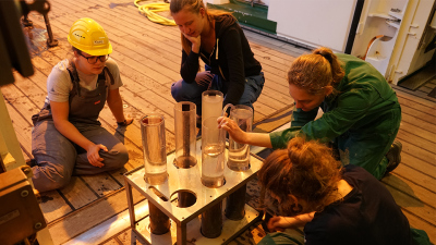 Sample collection. Photo: Tabea King