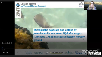 Carolin Müller @ MICRO 2020