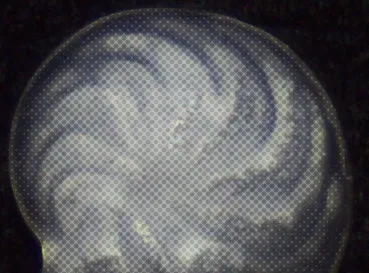 late Miocene El Niño