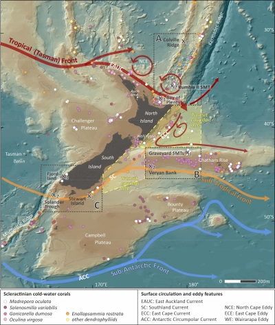 map New Zealnd