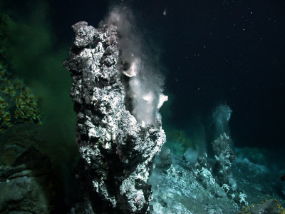  Hydrothermalquellen in 860 Meter Wassertiefe südwestlich der Azoren.