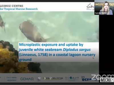 Carolin Müller @ MICRO2020