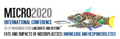 Logo MICRO 2020