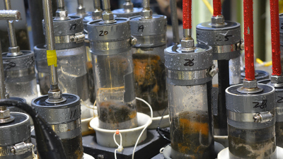 Samples from the Guaymas Basin. Photo: Min Song