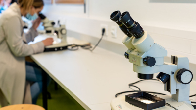 In the workshop, the participants get impulses to collect ideas for the climate courses. Photo: MARUM - Center for Marine Environmental Sciences, University of Bremen; V. Diekamp