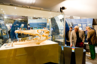 MeerErleben in Bonn; Foto: © Deutsches Museum Bonn / Eric Lichtenscheidt
