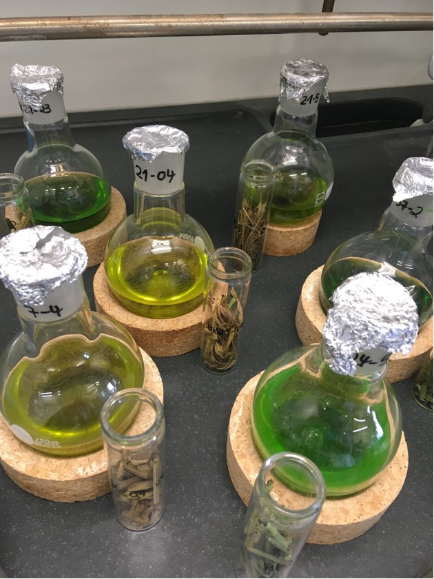 samples