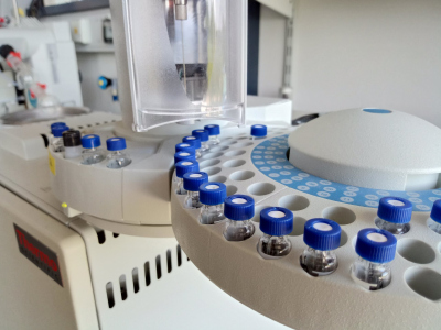 lab