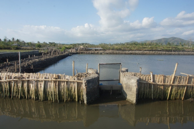 Adiska Lombok 2