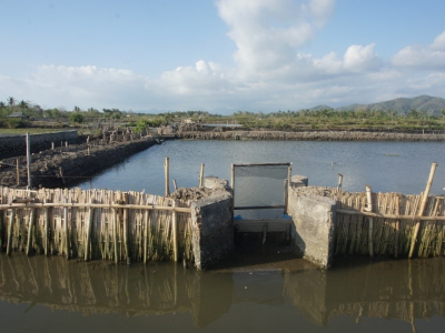 Adiska Lombok 2