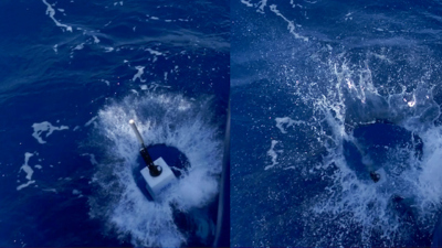 Der Einsatz des Argo-Float von FS METEOR. Foto: MARUM/ Jürgen Stake
