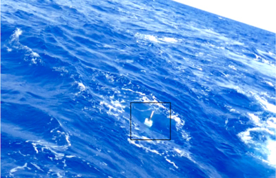 Der Argo-Float schwimmt auf seiner Reise im Ozean. Foto: MARUM/ Jürgen Stake