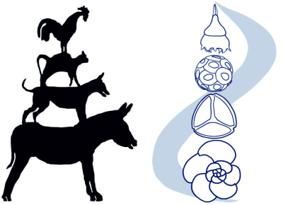 logo TMS 2022