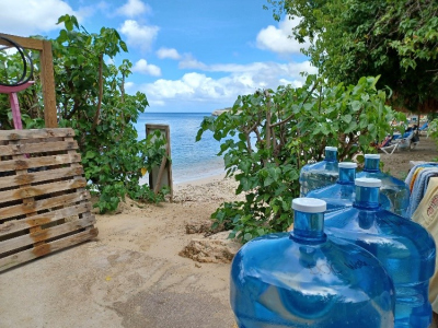 Freshly collected seawater for the dark incubations.