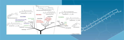 HLab Research-01