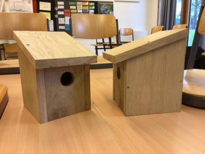Projektergebnisse aus dem 10. Jahrgang der Wilhelm-Olbers-Oberschule